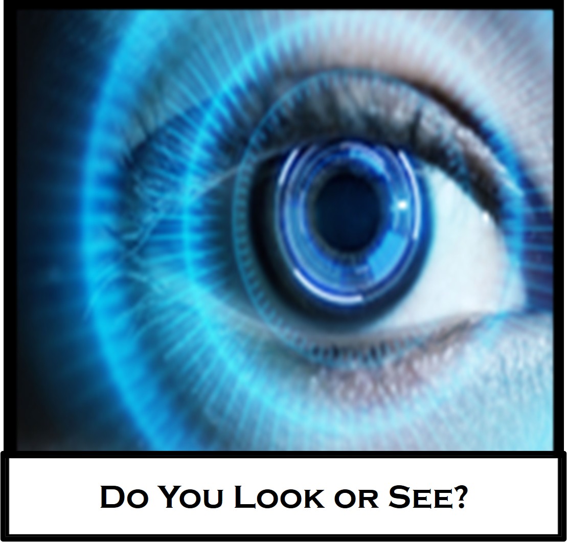 Do you look or do you&nbsp;see?