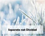 Separate not Divided