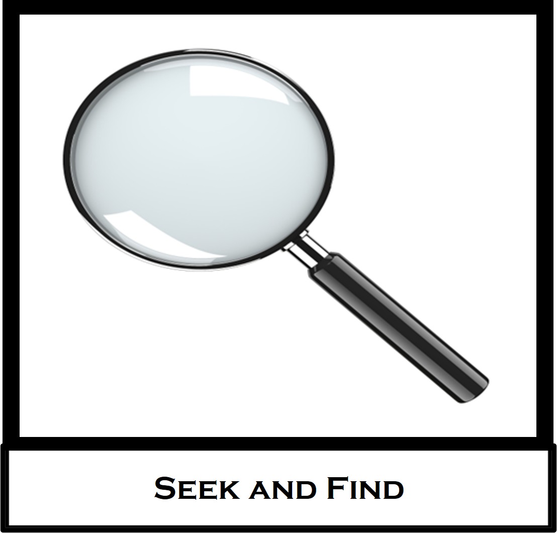 Seek and Find