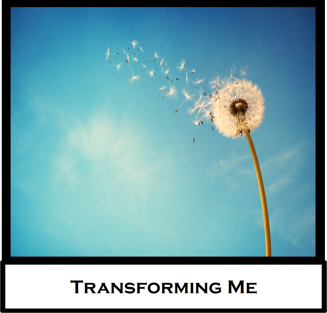 Transforming Me