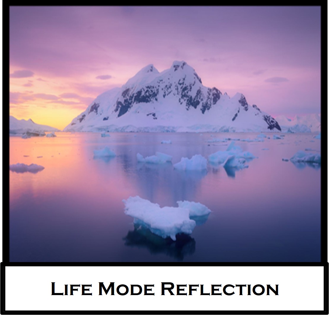 Life Mode Reflection
